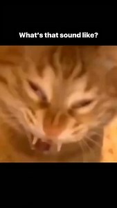 The Awakening Experience on Reels