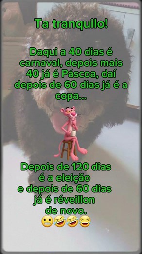 Seja bem vindo 2O27 🥰🥳🥳🥂 #pets #fofurinhasdali #petsfofinhos #cute #cachorrosdivertidos