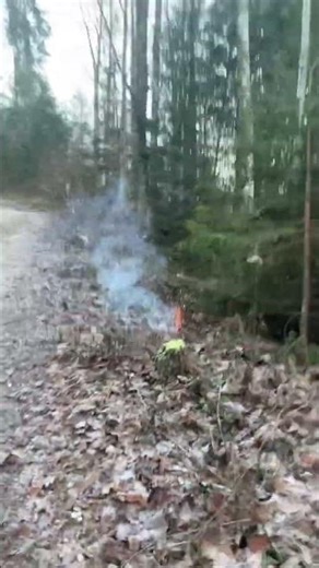 Big Bang 2g (green) #fireworks #pyrotechnica #pyro #eventpyrotechnik #experiment #camping #fyp #fypシ