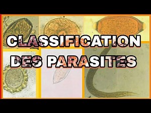 clasification des parasites