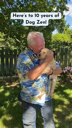 🎉🐾 Dog Zen Turns 10! 🐾🎉 Ten years ago, I launched my very first online dog training course — Dog Zen. It came from a simple idea: to share my knowledge more widely with people who didn’t have access to the intensive one-on-one training at my Behaviour Clinic. Built in the middle of filming our TV shows Pound Pups and Dogs Might Fly, it first came out of the huge demand for effective solutions at scale. It was a wild, crazy time! What started as a single course has now grown into a whole onli