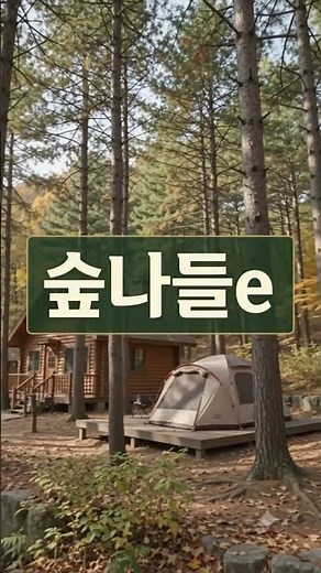 국립자연휴양림 예약 숲나들e 유명산.대관령.장태산 캠핑장.야영장추천