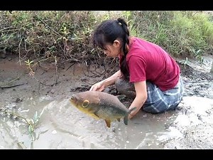 Amazing beautiful girl Fishing in the field in Cambodia- How to Catch Fish at battambang ( part 45)