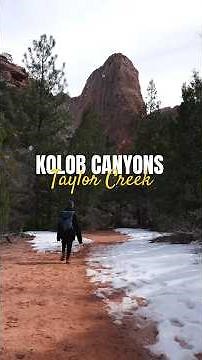 hiking taylor creek in the snow, kolob canyons
