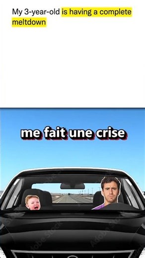 Reddit En Francais ! Memes N'ont Pas De Permanence D'objet !