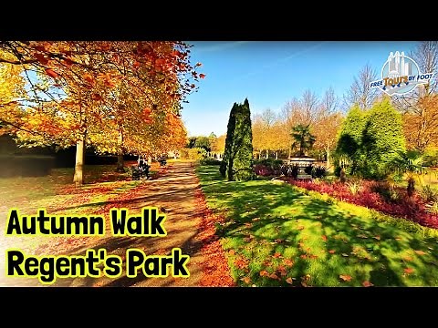Regent's Park London Walk | A Splendid Autumn Stroll in a Royal Park