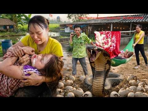 Terrifying Moment: Daughter Attacked by Venomous Snake – Father’s Rescue Will Shock You!