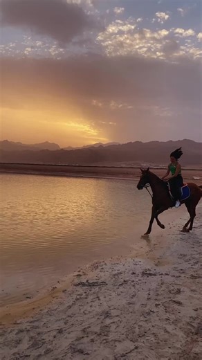 Found a loophole in the seasons. While the world freezes, the Red Sea stays warm, clear, and perfectly blue. #ExperienceEgypt #VisitEgypt #Egypt