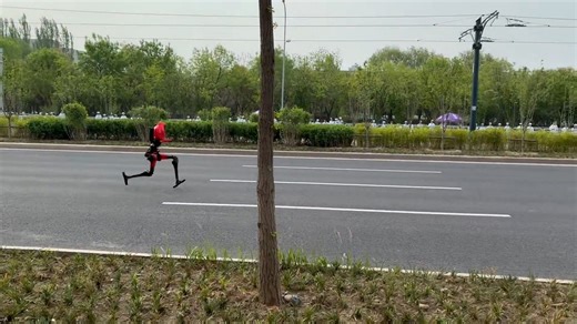 Humanoid robot "Lightning" runs in Beijing Robot Half Marathon, China