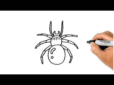 How to DRAW a SPIDER Easy and Simple