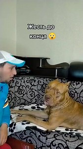 Hello welcome to our jaycorv tour #ascendfamily #jayco #letsjayco #goldenretriever #goldenretrievers #goldenretrieversofinstagram #goldenretrieverpuppy #g | Dani Ayuso