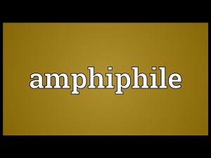 Amphiphile Meaning