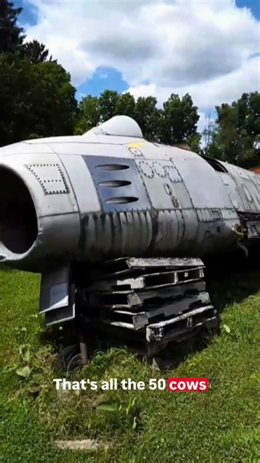 Just a F-86 Sabre Jet in my friends side yard. #autoarchaeology #jet #fighter
