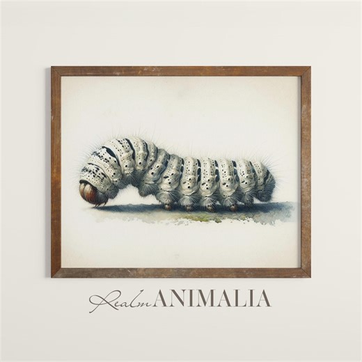 Caterpillar Art Print, Insect Watercolor Painting, Cottagecore Nature Decor (digital Download) - Etsy