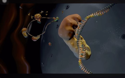【复盘用】RNA interference (siRNA & microRNA)