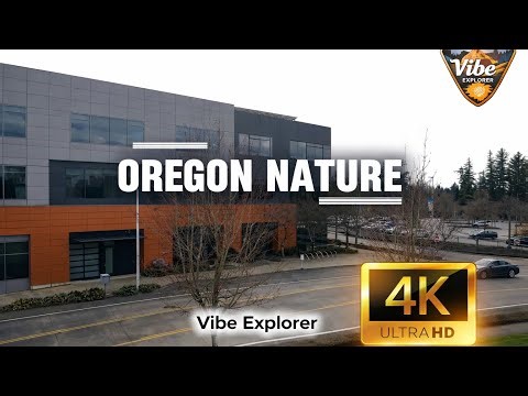 Oregon Nature in 4K Ultra HD | Relaxing Scenic Views