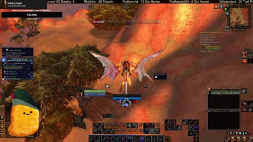 TBC HC, 24 Orc Hunter leveling...