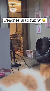 36K views · 2.8K reactions | Flip-flop Farmer on Reels | Facebook