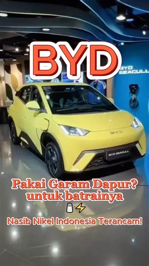 BYD Pakai Garam Dapur? Nasib Nikel Indonesia Terancam! 🧂⚡
