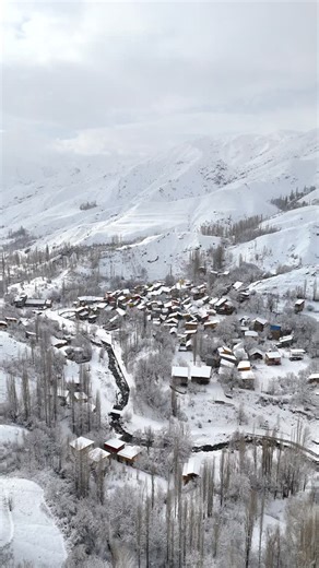 ‎سیمین | طبیعتگرد | ویدئو گرافر‎ on Instagram‎: "در حسرت روزای بهاری ... #قمیشی #زمستون #حسرت #نوستالژی #برف"‎