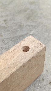 5.7K views · 59 reactions | cover holes in wood #wood #coverholes #carpenter #medeira | The Master Craftsman | Facebook