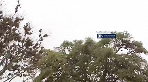 We're on the scene at a reported shooting in the parking lot of the Audie Murphy VA Hospital off Merton Minter. | News 4 San Antonio