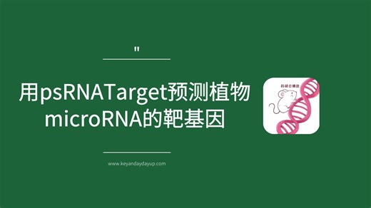 用psRNATarget预测植物microRNA的靶基因