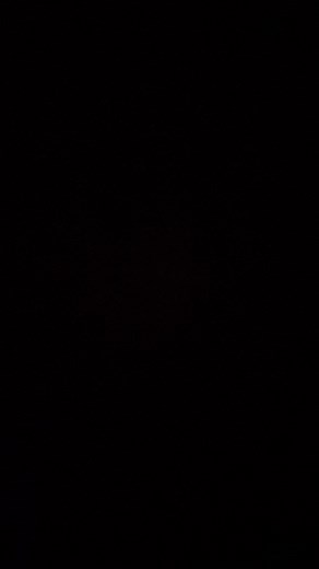 Celebjihad (@celebjihad0)’s videos with original sound - Celebjihad