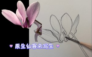 Information Drawing 科学绘画重要步骤