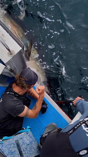 Skippers turn on the rod, checking out with a solid bluefin tuna, stand up, toe to toe direct fight, gave her the absolute heat, 40 minutes boat side, bosh. Cheers Sam, Liam and Phil for a mega day! I tees not all work work work, we got to have some play too, right?! 😅😴🎣 Big love, Kieren 🤙🏼💙 | Unleashed Fishing Charters