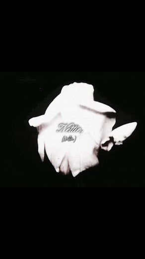 Nettie by Type O Negative Lyrics