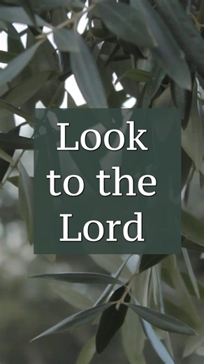 Job 12:13 says, “God is the real source of wisdom and strength” (CEV). When you’re in harmony with God, you get the peace, and the strength of God. Get more hope and encouragement daily! (Pastorrick.com/study) | Pastor Rick's Daily Hope