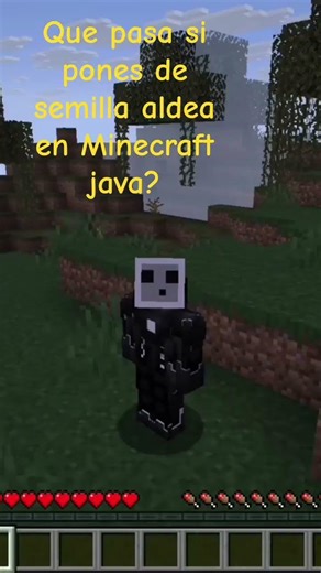 que pasa si pones aldea de semilla en Minecraft java?!