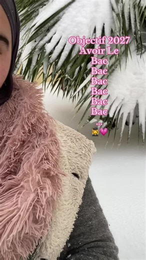 Understanding Le Bac and Its Importance in Education