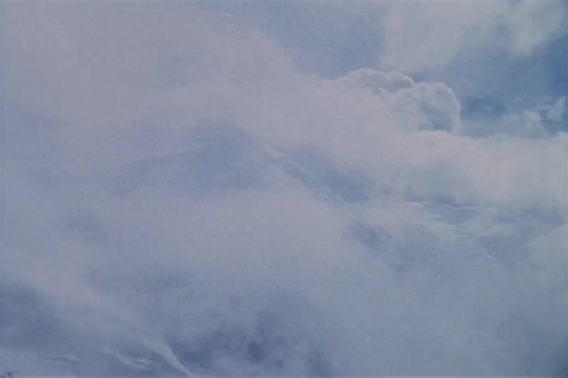 61K views · 1.2K reactions | Starfleet Records. Starfleet Personnel:...