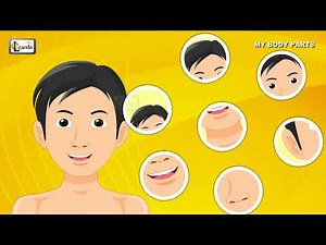 My Body Parts Song – A Fun and Interactive Body Parts Song for Kids