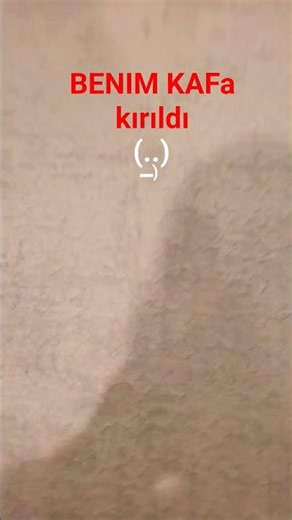 rrrr ppp eeee oioo iiii