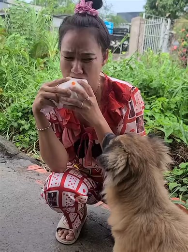 Ăn cái gì cũng xin: Hài hước trong bữa ăn