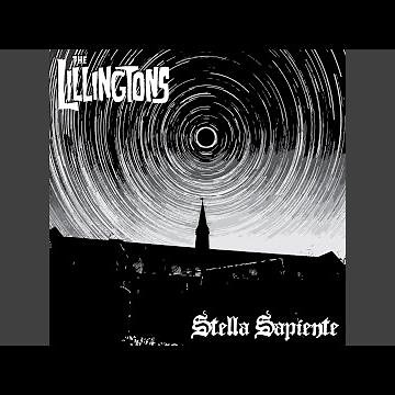 Insect Nightmares