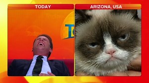 Un journaliste réalise une interview... de Grumpy Cat !