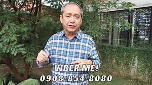 410K views · 2K reactions | VIBER ME at 09088548080 for QUICK RESPONSE FEW SLOTS LEFT ( ONLY SERIOUS CO OWNERS PLEASE ) OUR FUNDING IS ALMOST COMPLETE AND WE START RENOVATION VERY SOON. CO OWNERSHIP is the first step to owning your own FORECLOSED Property. Last time we did this in LBA, my Co Owners earned a take homeowners 12% GUARANTEED ROI plus 10% on the PROFIT SHARE for the 12 months... Watch this one minute video to know how to join me . | El Subastahero | Facebook