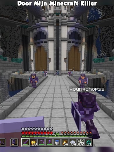 Exploring the Chaos in Minecraft's SMP