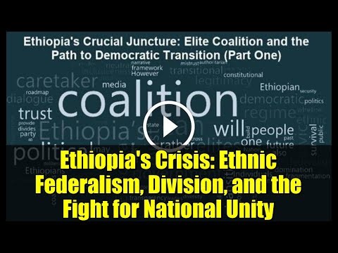 Ethiopia's Crisis: Ethnic Federalism, Division, and the Fight for National Unity