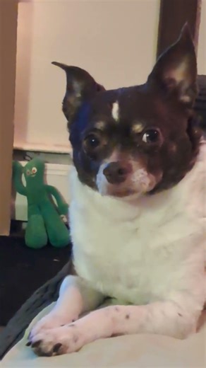 😒 how is saran wrap still so difficult for me?