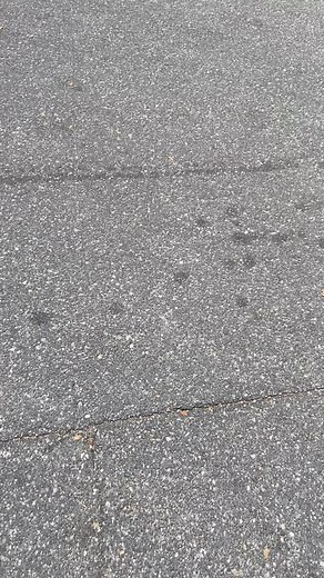 #dillonservicesinc #dillonservices #freightliner #freightlinertrucks #sportchassis #sportchassistrucks #cummins #cumminspower #Jeep #jeepnation #4xe #willysjeep #atctrailers | Paul Dillon