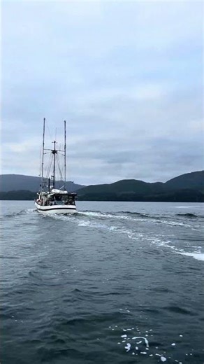 End of PRAWN Season ⚓️ Passing a West Coast SALMON Troller 🌊