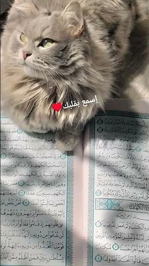 الكهف♥️ #راحة_نفسية #الجمعة #سورة_الكهف #صلوا_على_النبي #ﷺ #fyp