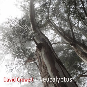 David Crowell - Eucalyptus