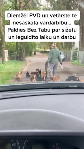 Baiba Ozo (@baiba_ozo)’s videos with original sound - Baiba Ozo