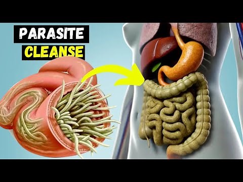 Flush Parasites Out of Your Body with These Powerful Foods and Detox Recipe.